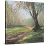 Stretched Canvas
