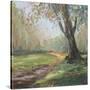 Stretched Canvas