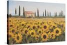 Stretched Canvas