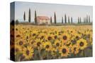 Stretched Canvas