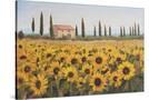 Stretched Canvas