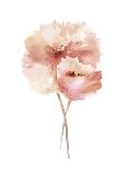 Peach Flower II-Sandra Jacobs-Giclee Print