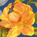 Aquarelle Garden-Sandra Jacobs-Stretched Canvas