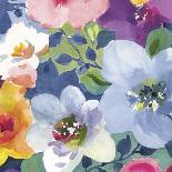 Aquarelle Blooms - Chic-Sandra Jacobs-Stretched Canvas