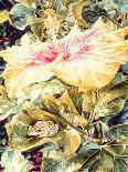 Tree Frog and White, Yellow and Pink Hibiscus, 1989-Sandra Lawrence-Giclee Print
