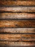 Pine Wood Textured Background-Sandralise-Photographic Print