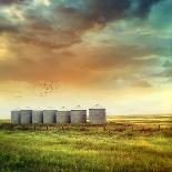 Prairie Grain Silos in Late Summer-Sandralise-Photographic Print