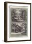 Sandringham-null-Framed Giclee Print