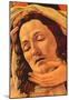 Sandro Botticelli Lamentation of Christ Detail Art Print Poster-null-Mounted Poster