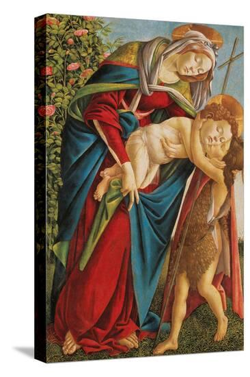 Stretched Canvas Print, , large