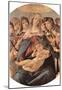 Sandro Botticelli Maria with Christ Child and Six Angels Art Print Poster-null-Mounted Poster