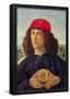 Sandro Botticelli Portrait of a Man with a Medal of Cosimo the Elder Art Print Poster-null-Framed Poster
