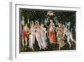 White Frame