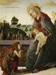 The Madonna and Child with the Young St. John the Baptish in a Landscape-Sandro Botticelli-Giclee Print