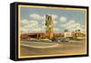 Sands Hotel, Las Vegas, Nevada-null-Framed Stretched Canvas