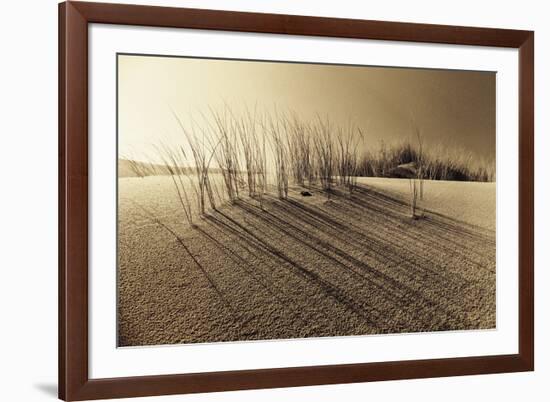 Sands of Time-Jo Crowther-Framed Giclee Print