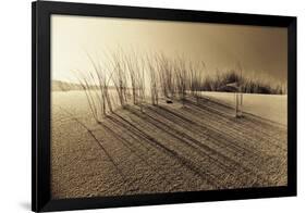 Sands of Time-Jo Crowther-Framed Giclee Print