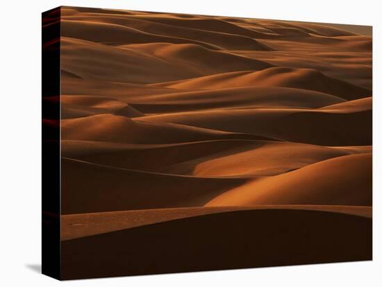 Sands of Time-Art Wolfe-Stretched Canvas