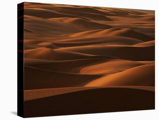 Sands of Time-Art Wolfe-Stretched Canvas