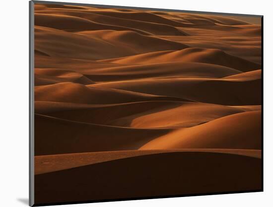 Sands of Time-Art Wolfe-Mounted Photographic Print