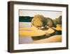 Sands on the Edge of the Loire-Félix Vallotton-Framed Giclee Print