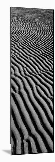 Sandscape 01-Tom Quartermaine-Mounted Giclee Print