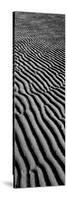 Sandscape 01-Tom Quartermaine-Stretched Canvas