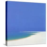 Sandspur in Summer, 2000-John Miller-Stretched Canvas