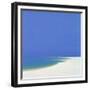 Sandspur in Summer, 2000-John Miller-Framed Giclee Print