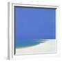 Sandspur in Summer, 2000-John Miller-Framed Giclee Print