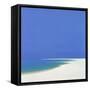 Sandspur in Summer, 2000-John Miller-Framed Stretched Canvas