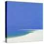 Sandspur in Summer, 2000-John Miller-Stretched Canvas