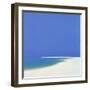 Sandspur in Summer, 2000-John Miller-Framed Giclee Print