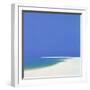 Sandspur in Summer, 2000-John Miller-Framed Premium Giclee Print