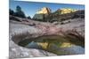 Sandstone and Pool, Zion National Park, Utah-Howie Garber-Mounted Photographic Print