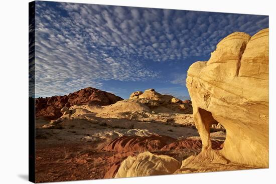 Sandstone Arch under Clouds-James-Stretched Canvas