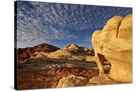 Sandstone Arch under Clouds-James-Stretched Canvas