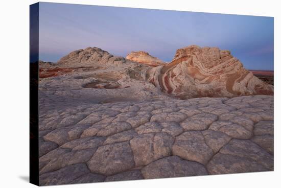 Sandstone Brain Rock and Red and White Swirls at Dawn-James Hager-Stretched Canvas