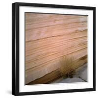 Sandstone Cliff-Micha Pawlitzki-Framed Photographic Print