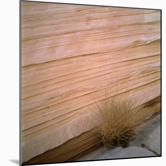 Sandstone Cliff-Micha Pawlitzki-Mounted Photographic Print