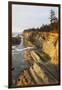 Sandstone Cliffs and Coastline, Shore Acres State Park, Oregon, USA-Jamie & Judy Wild-Framed Photographic Print