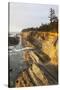 Sandstone Cliffs and Coastline, Shore Acres State Park, Oregon, USA-Jamie & Judy Wild-Stretched Canvas