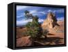 Sandstone Cliffs, Arches National Park, Moab, Utah, USA-Lee Frost-Framed Stretched Canvas