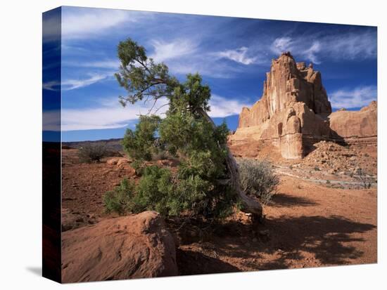 Sandstone Cliffs, Arches National Park, Moab, Utah, USA-Lee Frost-Stretched Canvas