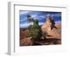 Sandstone Cliffs, Arches National Park, Moab, Utah, USA-Lee Frost-Framed Photographic Print