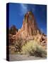 Sandstone Cliffs, Arches National Park, Moab, Utah, USA-Lee Frost-Stretched Canvas