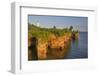 Sandstone Cliffs, Sea Caves, Devils Island, Apostle Islands Lakeshore, Wisconsin, USA-Chuck Haney-Framed Photographic Print