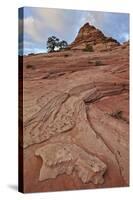 Sandstone Cone and Clouds, Zion National Park, Utah, United States of America, North America-James Hager-Stretched Canvas