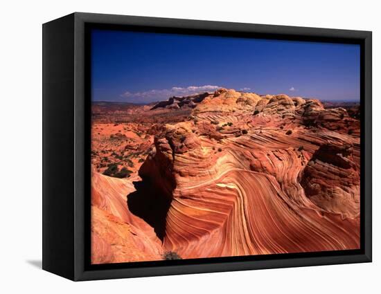 Sandstone Erosion of the Colorado National Monument, Colorado National Monument, USA-Mark Newman-Framed Stretched Canvas