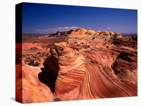 Sandstone Erosion of the Colorado National Monument, Colorado National Monument, USA-Mark Newman-Stretched Canvas